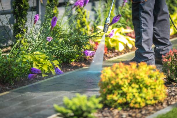 Professional Pressure Washing Services in Logan Elm Village, OH