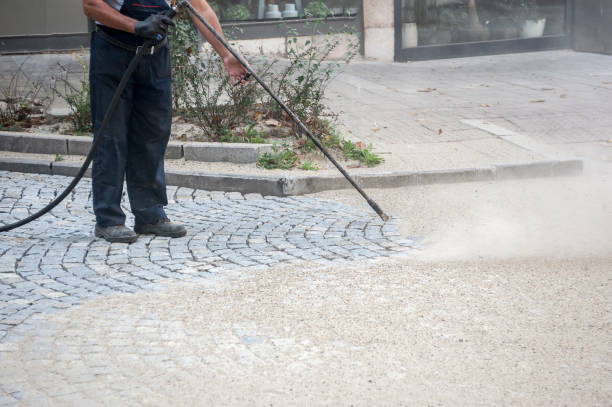 Best Fence Cleaning and Maintenance in Logan Elm Village, OH